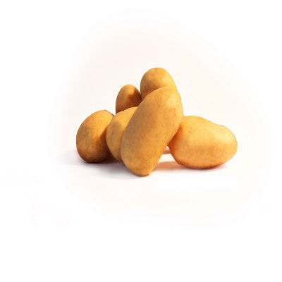 Miniatuur 2