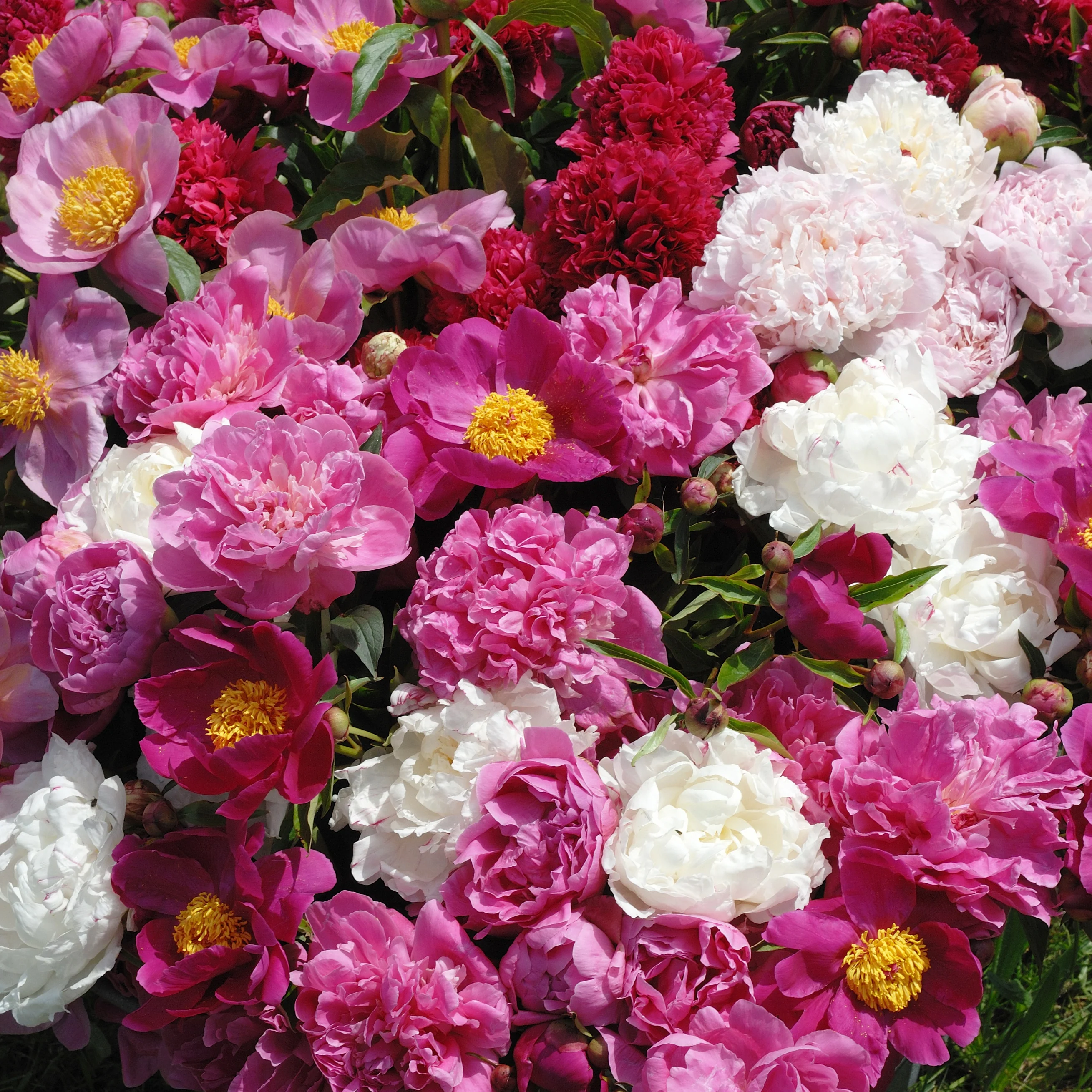 Miniatuur 2