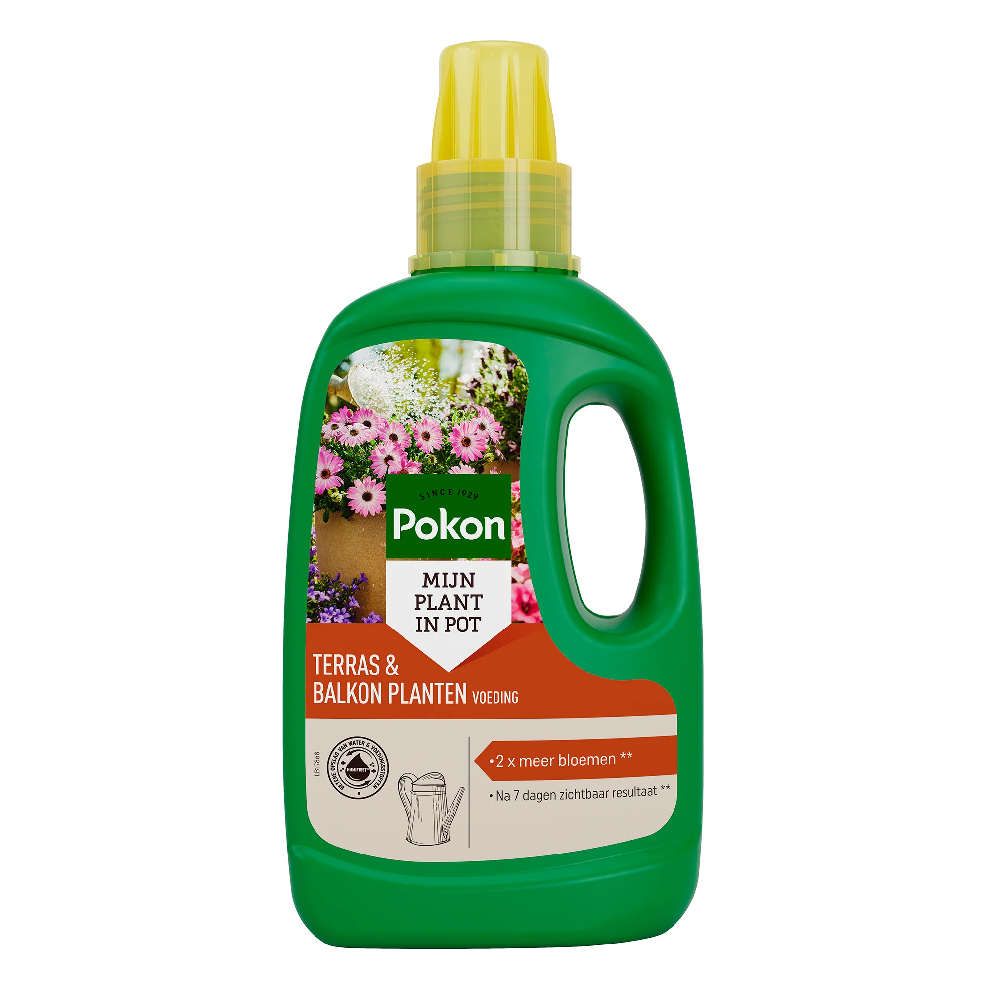 Miniatuur 1
