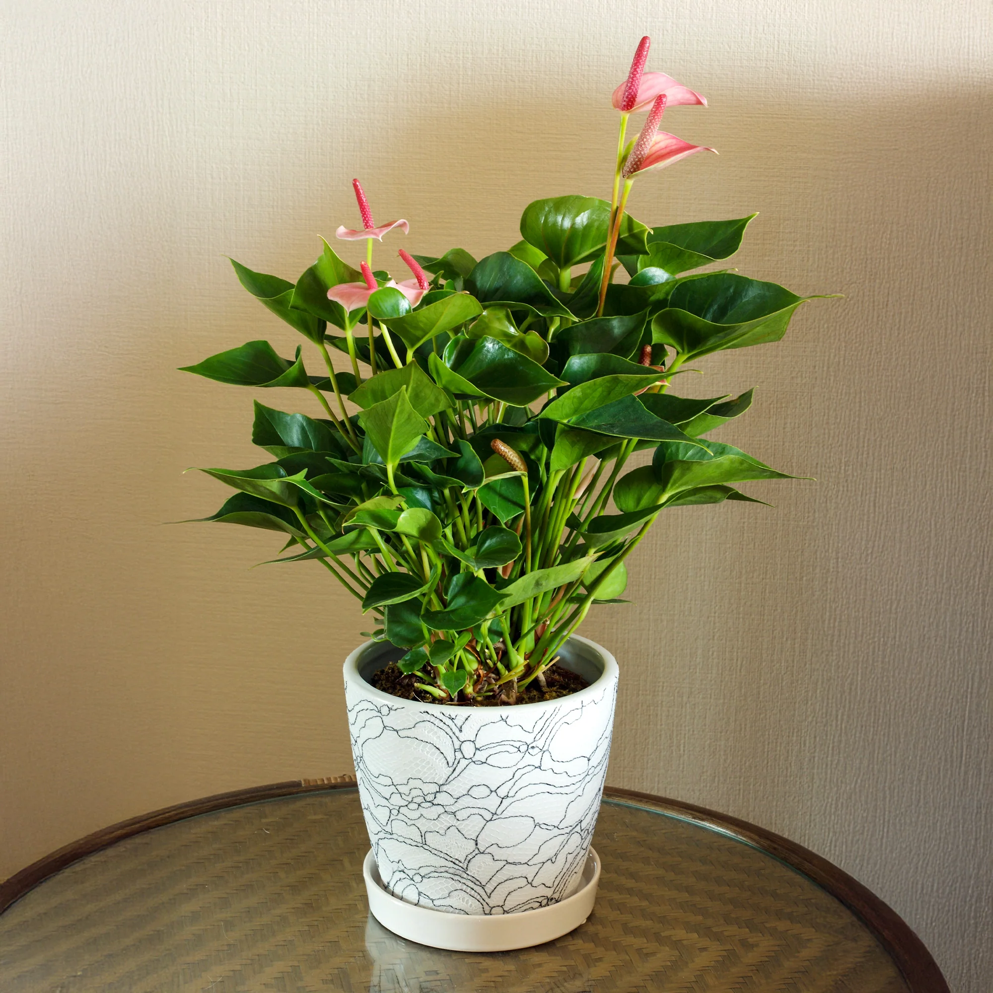 Miniatuur 2
